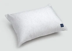 babyGap Toddler Pillow with 2 Cooling Covers